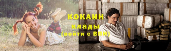 spice Алексин